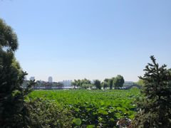 -长春市南湖公园