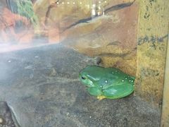 -费瑟代尔野生动物园