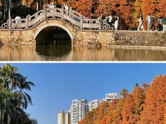 -中国科学院华南植物园