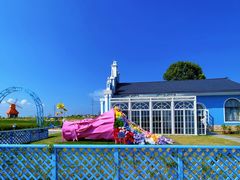 -杭州湾海上花田景区