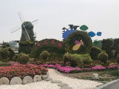 -荷兰花海