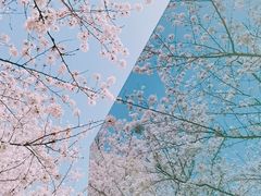 -龙美术馆(西岸馆)