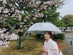 -京都和服体验 梦馆(五条店)