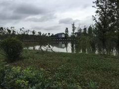 -白鹭湾湿地公园