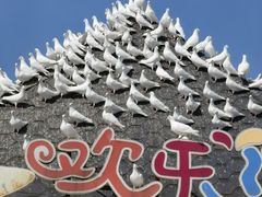 -烟台海昌鲸鲨海洋公园