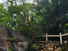 -草庵摩尼教遗址公园