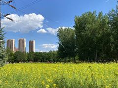 -长白岛森林公园