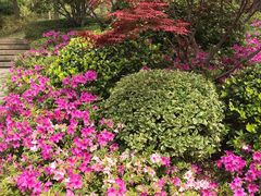 -金匮公园-南入口停车场