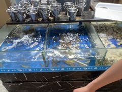 -鲜吃为尚.鲜切牛肉海鲜自助火锅(新塘万达广场店)