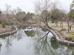 -鹅湖玫瑰文化园