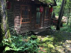 -五营红松林海景区