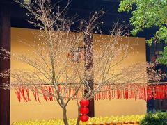 -无锡梅园公园