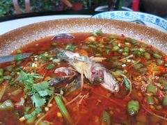 -院8里·少城记忆老川菜(宽窄巷子店)