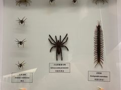 -汕头市博物馆