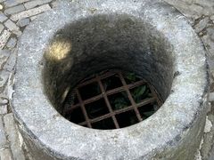 -上海佘山国家森林公园天马山园