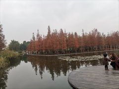 -白鹭湾湿地公园