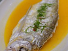 鸡油白鱼-名豪品鲜荟(云亭店)