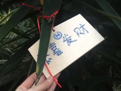 -广州花都木莲庄酒店