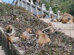 -苏州上方山国家森林公园