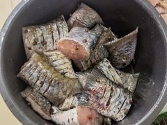 鱼尾-阮记烧烤大排档(同庆阁社区店)