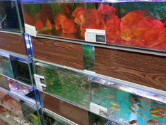 -大润发(张江店)