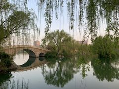 -济南大明湖景区
