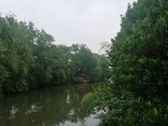 -南汇桃花村
