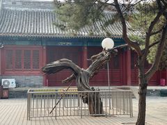-大钟寺古钟博物馆