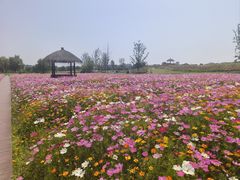 -径山花海