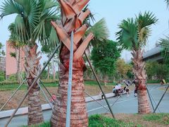 -宝安西湾红树林湿地公园