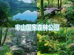 -杭州半山国家森林公园