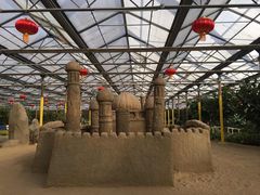 -南宫五洲植物乐园