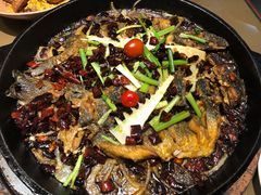 -老板恋上鱼(恒隆广场店)