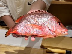 -镹·鱼料理  国产鱼使用店