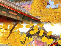 -承恩寺