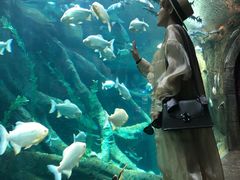 -哈尔滨波塞冬海底世界