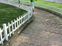 -迎泽公园