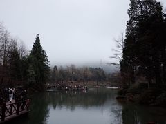 -四明山国家森林公园