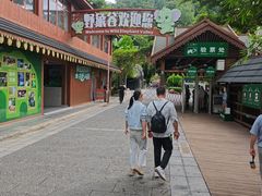 -野象谷景区