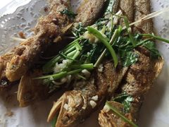 -高晓山馅饼店(牛庄百年店)