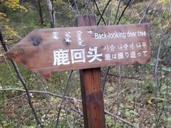 -大青沟风景区