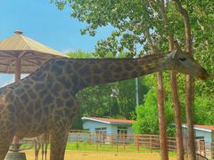 -大连森林动物园