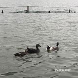 西湖暴走4小时