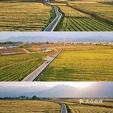 大理旅行|喜洲油菜花田，好像来到宫崎骏的世界