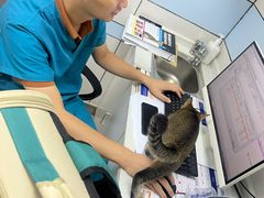 -中农国际动物医院24小时·猫科·骨科·急重症中心