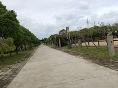 -松声马术俱乐部