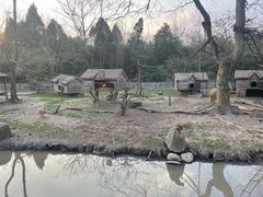 -上海野生动物园