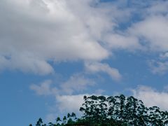 -黄埔油麻山森林公园