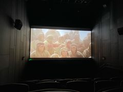 -万达影城(汉街万达广场IMAX店)