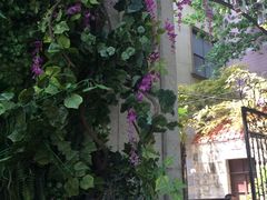 -十号名邸精品酒店（上海音乐学院店）(原复旦五官科医院店)